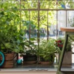 retirement-living-balcony-gardens